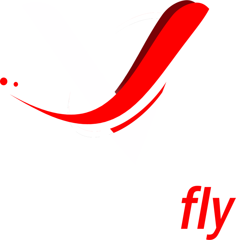 ONG VariableFly